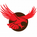 Skyhawk logo